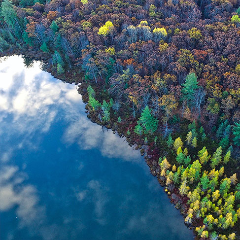 Top view of the blue sky reflected in a lake next to a forest of trees